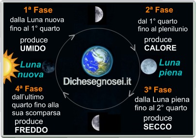 I Mimatti - Qualcuno di voi ha mai preso la luna? Per